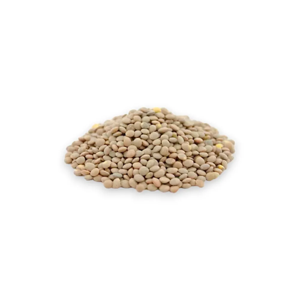 Lenteja BB Verde SELECCIONADA x 1 kg