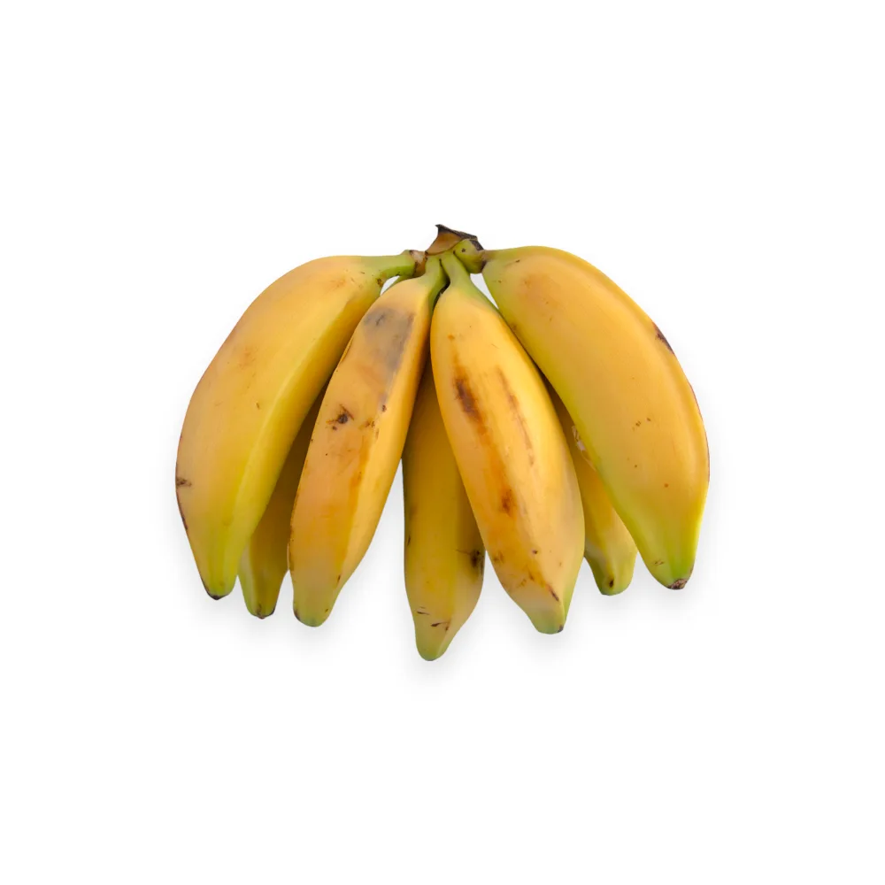 Platano Isla x un