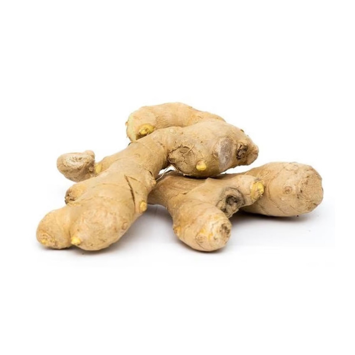 Kion Entero x 250 GR