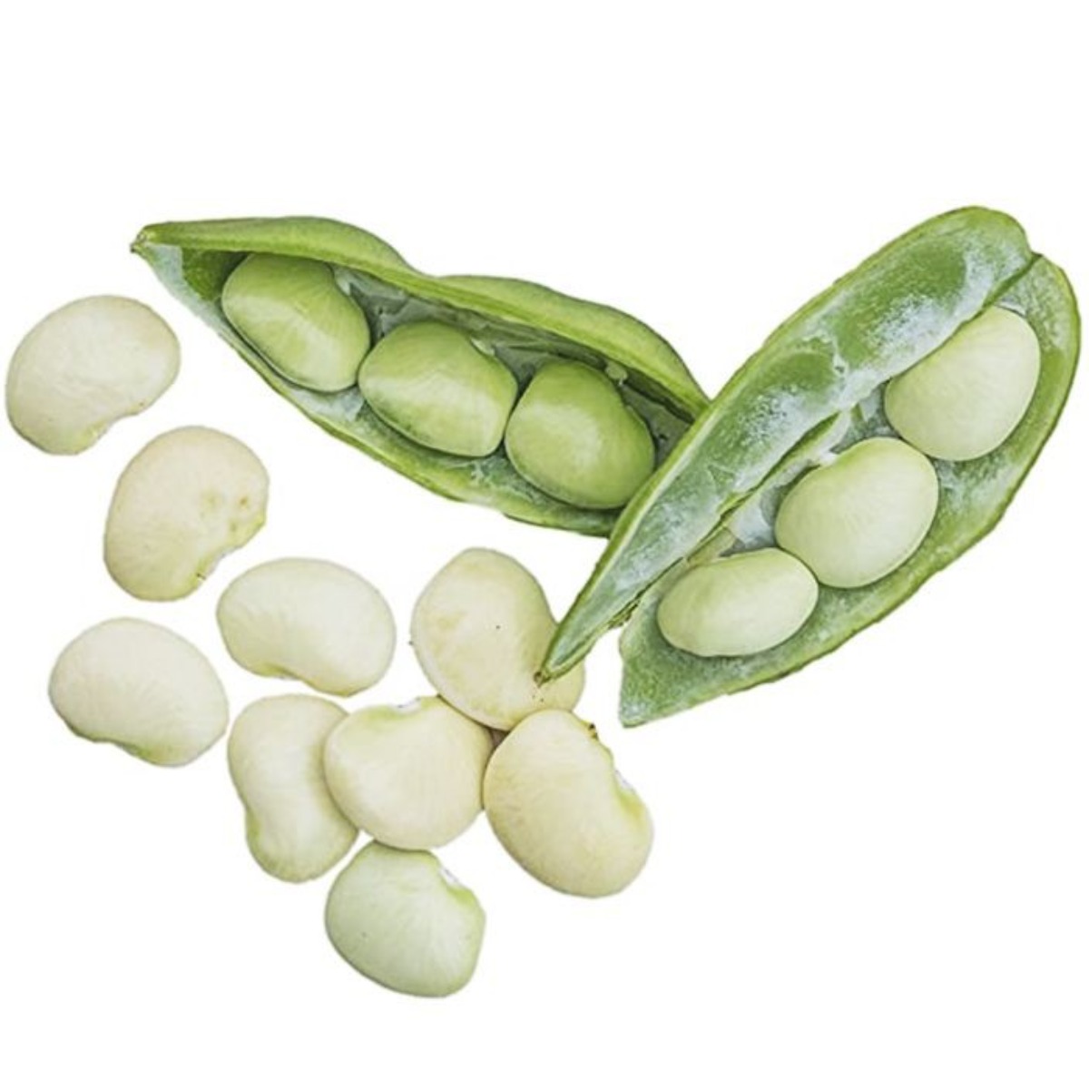 Pallar Verde x kg