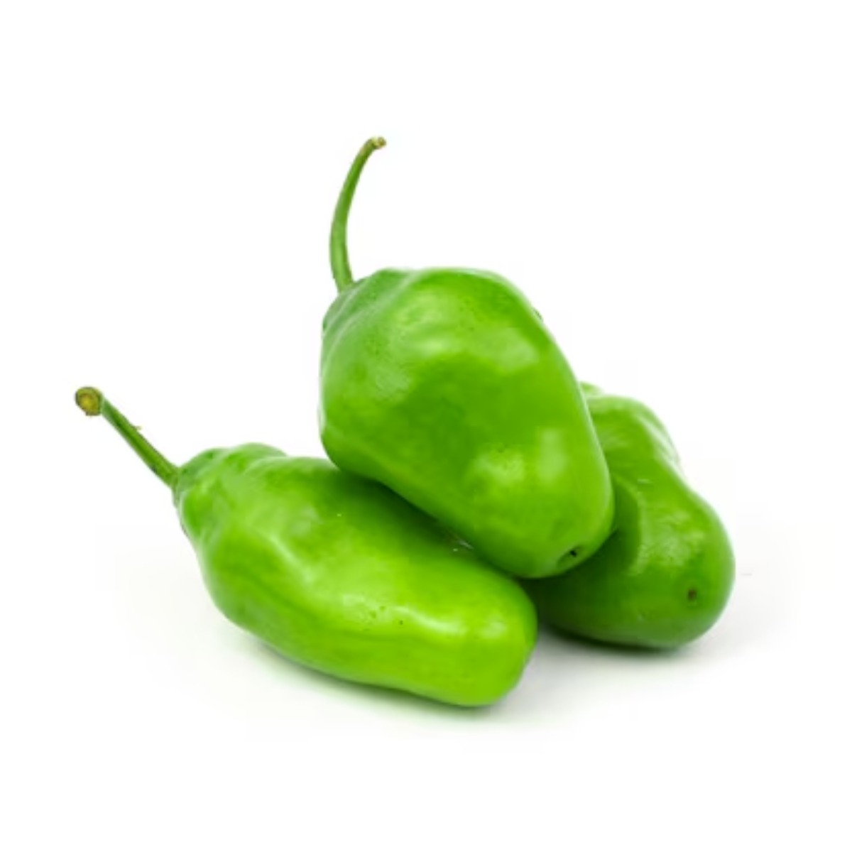 Rocoto Verde x kg